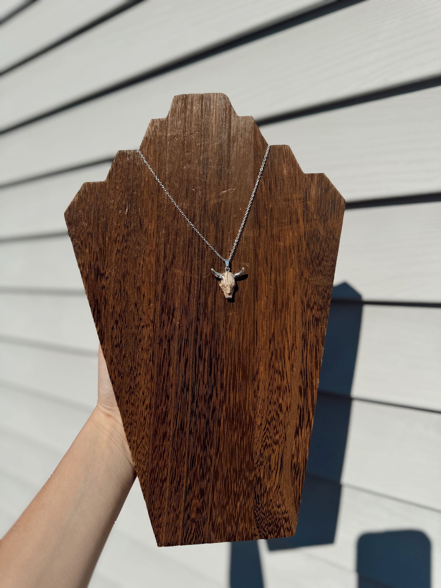 The Silver Longhorn