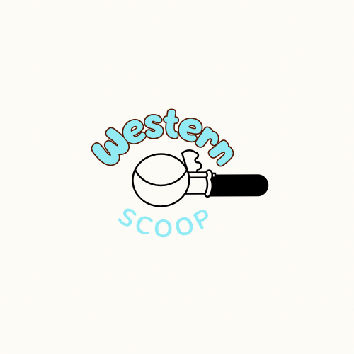 Western Scoop Bin