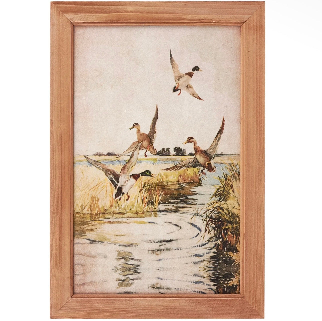 The Wild Duck HUGE Frame