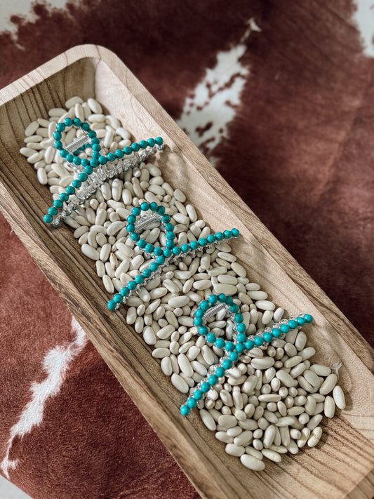 The Turquoise Clip